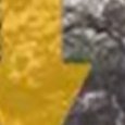 JPEG - 203.1 kio